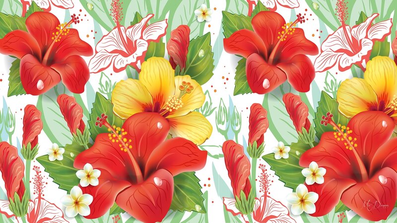 Red and Yellow Hibiscus Flowers — Tropical