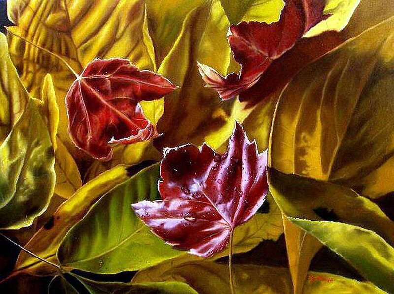 Red and Yellow Leaves