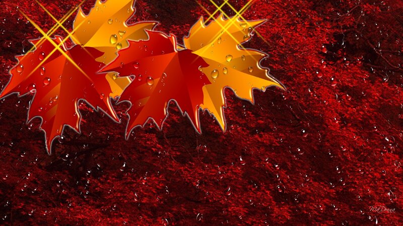 Red and Yellow Maple Leaves — Dramatic, Autumn