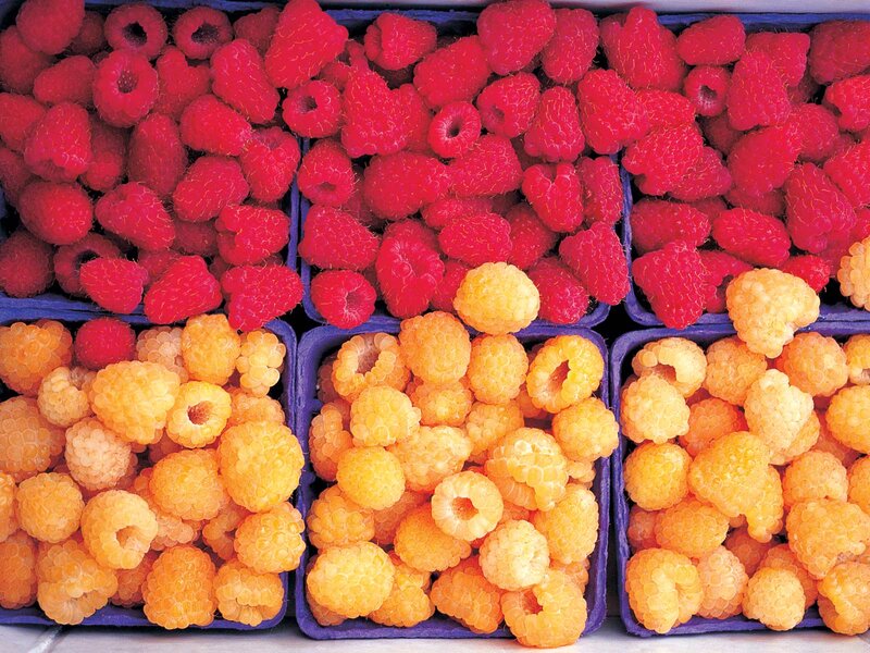 Red and Yellow Raspberries