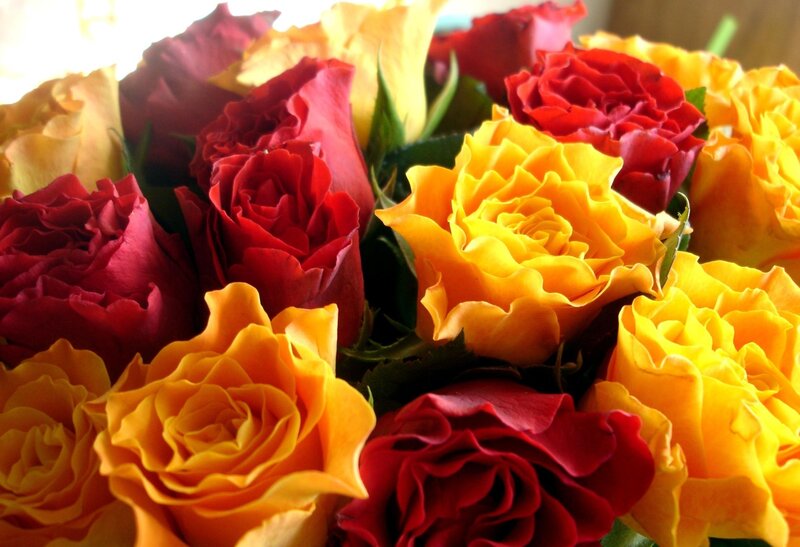 Red and yellow roses bouquet