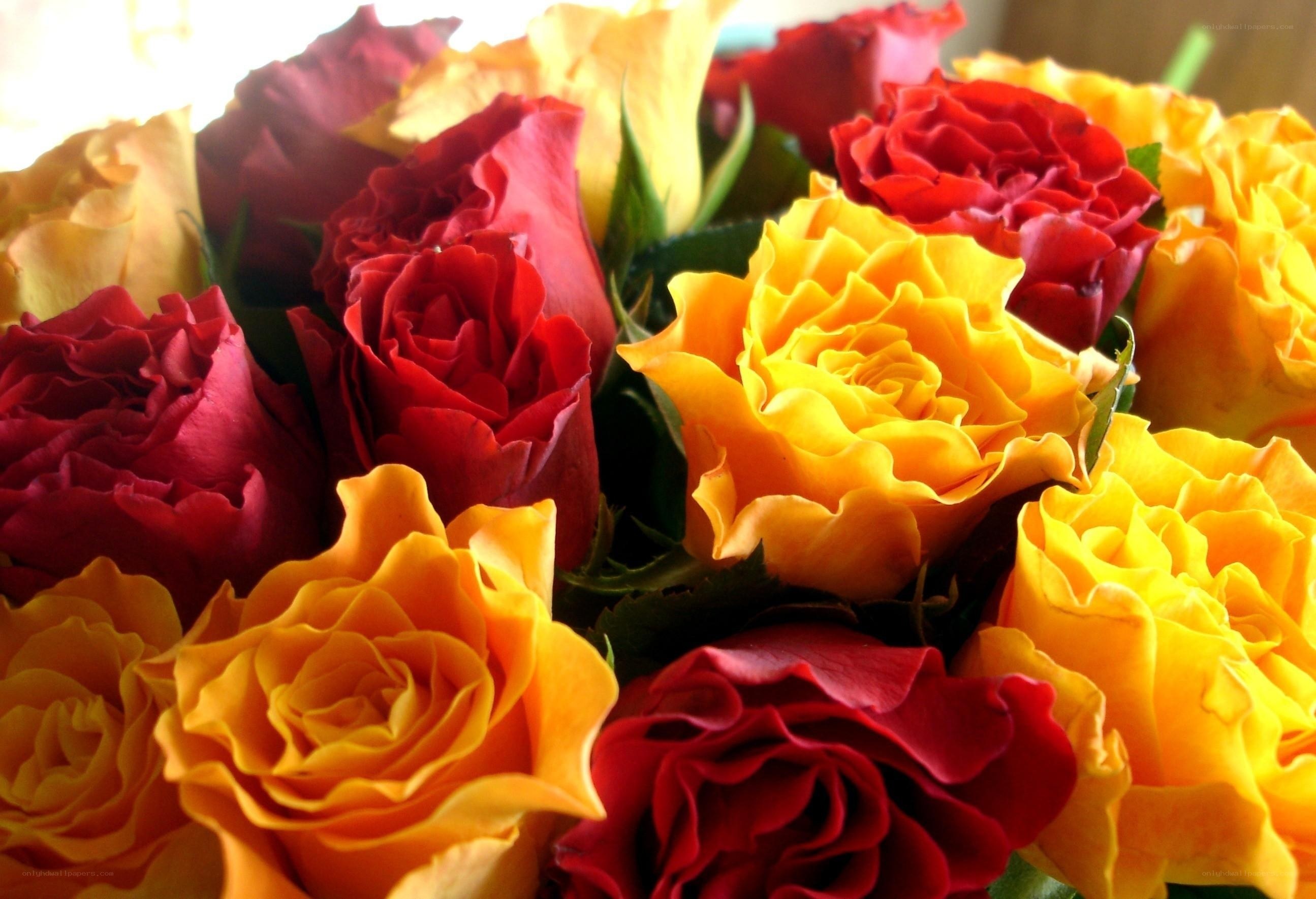 Red and yellow roses bouquet