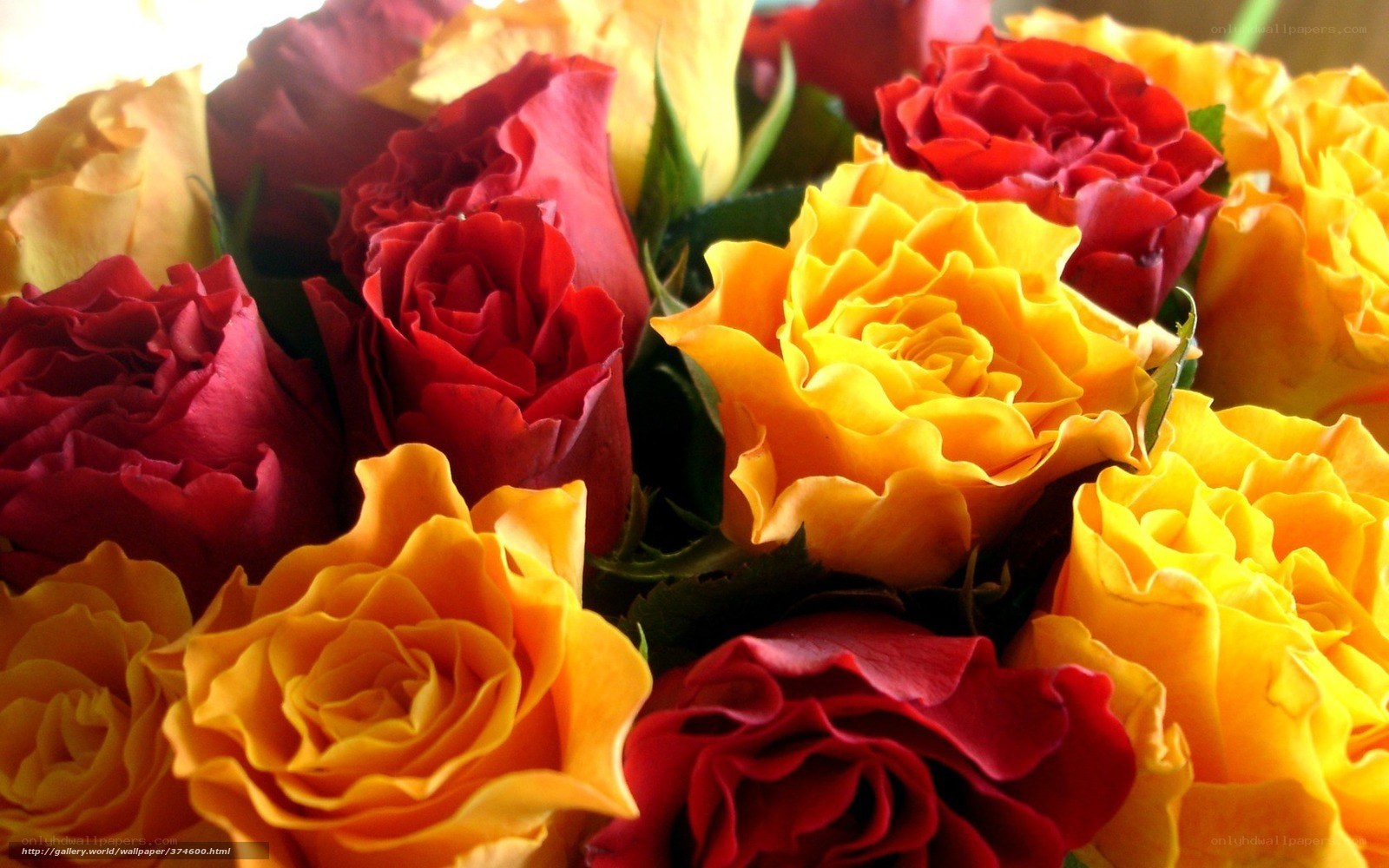 Red and yellow roses bouquet