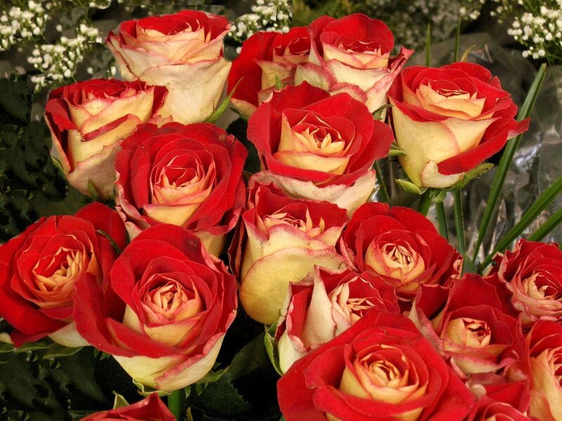 Red and yellow roses bouquet