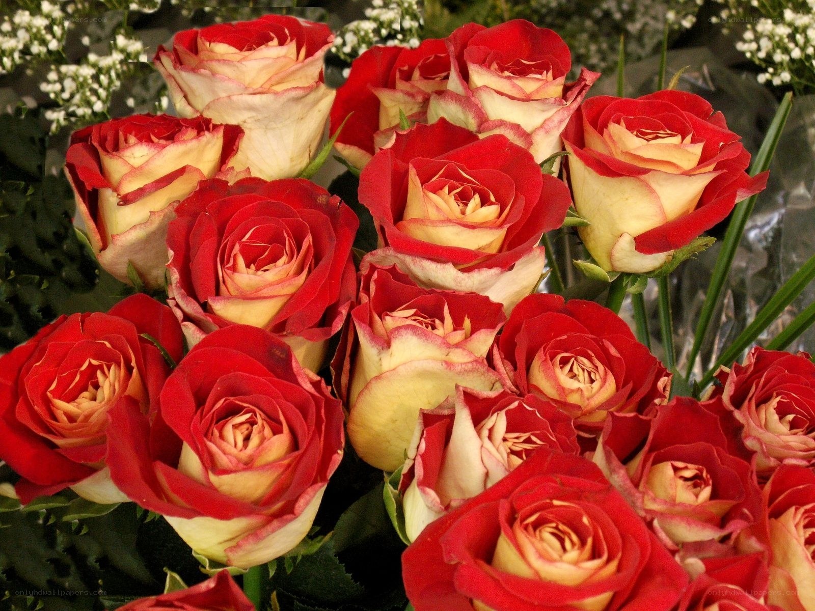 Red and yellow roses bouquet