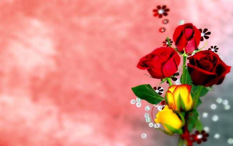 Red and Yellow Roses — Romantic