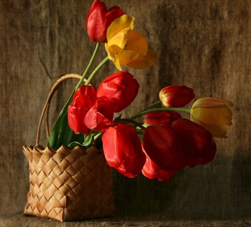Red and Yellow Tulips — Calm, Photograph, Basket