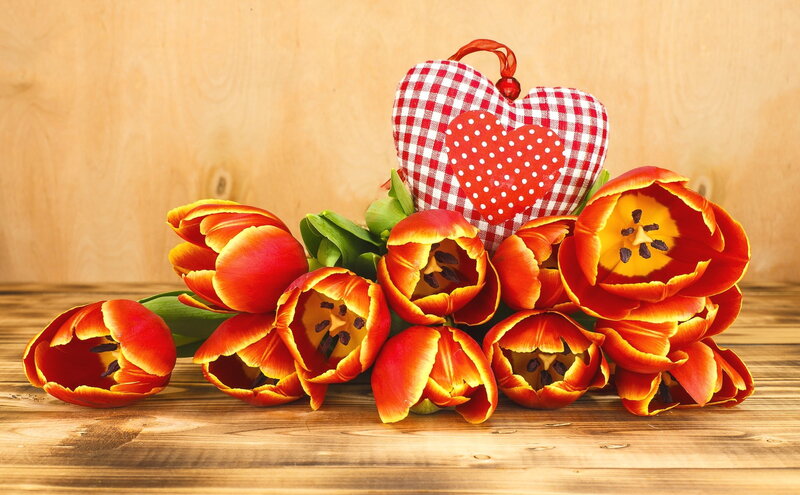 Red and Yellow Tulips — Warm