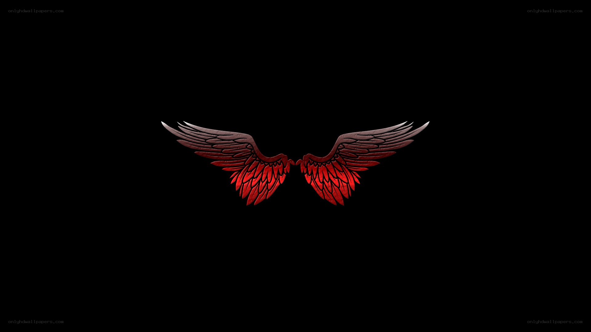 red angel wings on black
