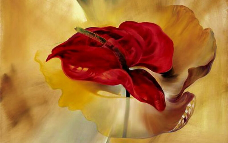 Red Anthurium Flower — Dramatic, Painting