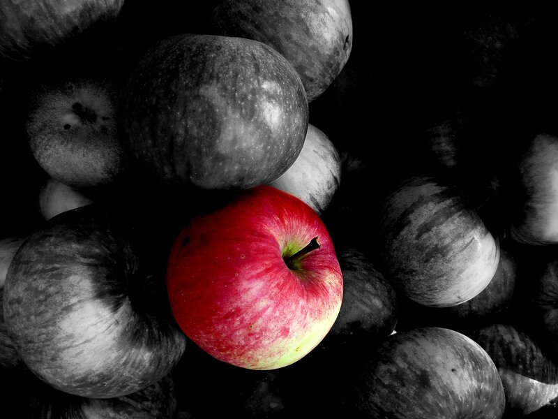 Red Apple Among Black and White Apples