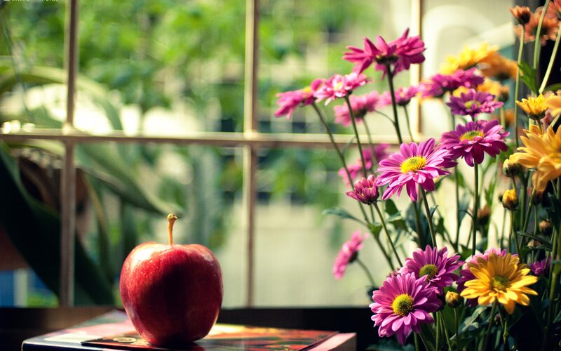 Red Apple and Flowers — Serene