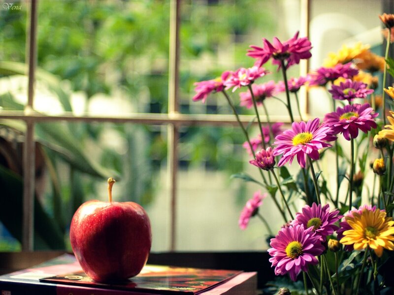 Red Apple and Flowers