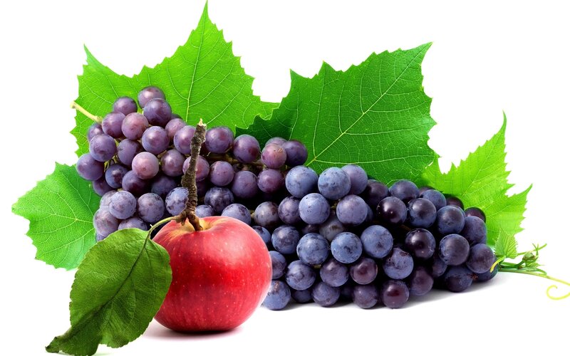 Red Apple and Grapes — Green
