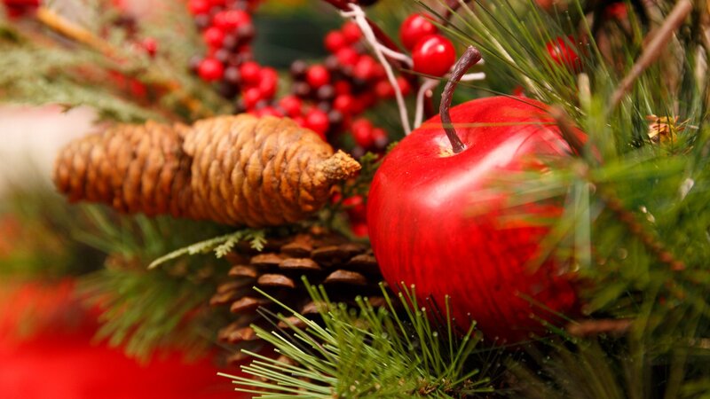 Red Apple and Pinecones