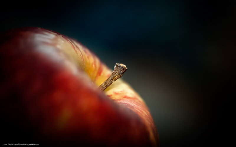 Red Apple Close-up — Dramatic