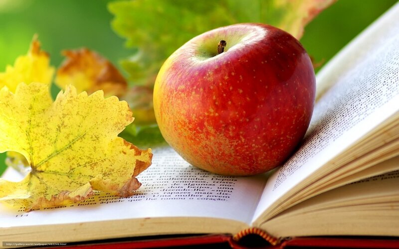 Red Apple on Book — Calm, Autumn