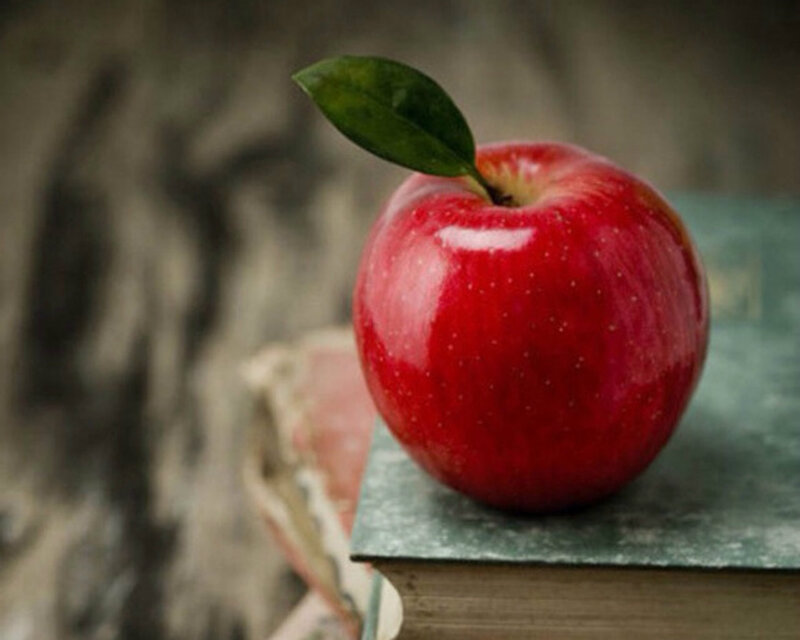 Red Apple on Book — Calm