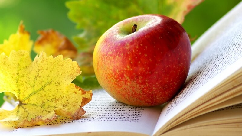 Red Apple on Book — Serene, Autumn, Photograph, Leaf