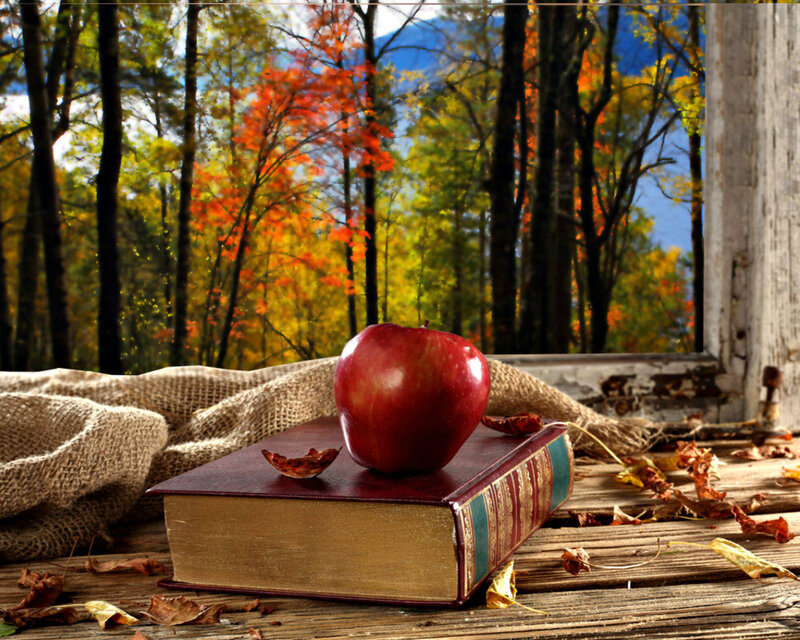 Red Apple on Book — Serene, Autumn