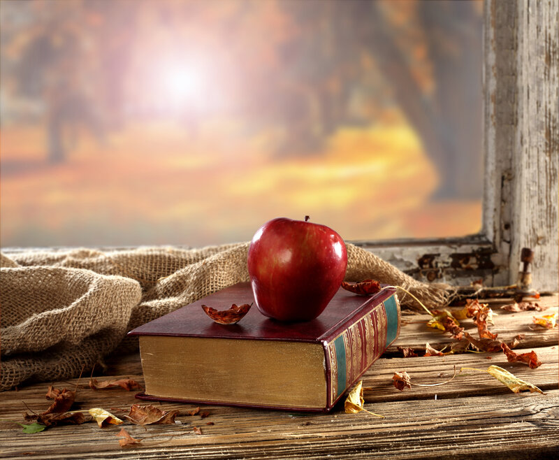 Red Apple on Book