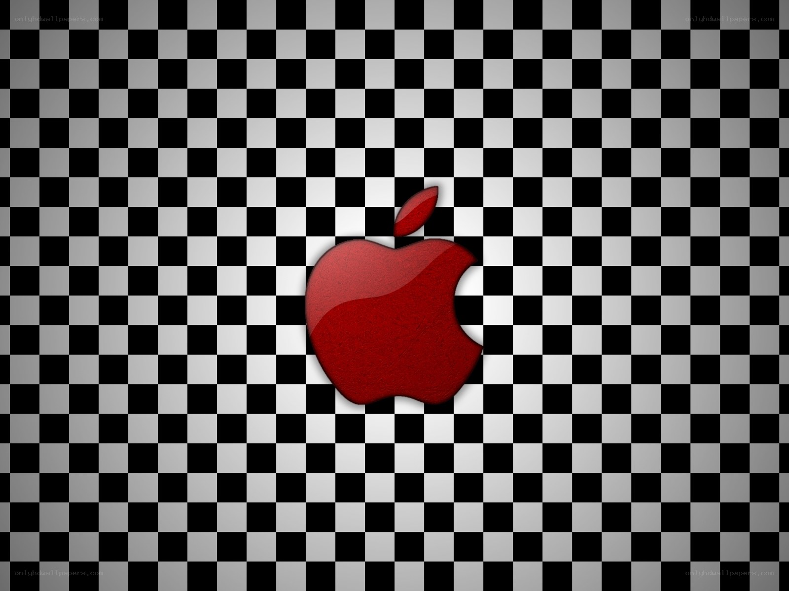 Red apple on checkered background