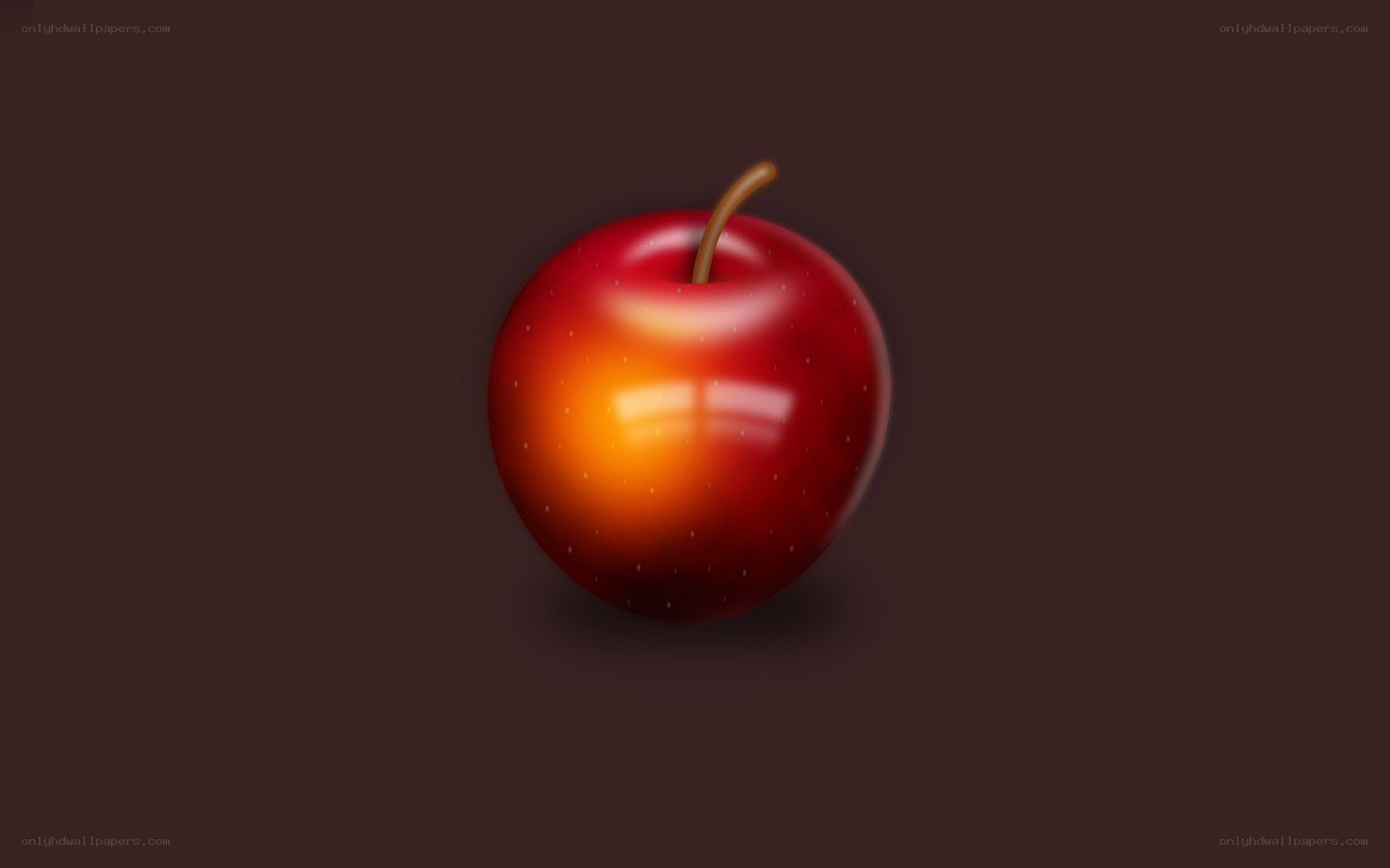 red apple on dark background