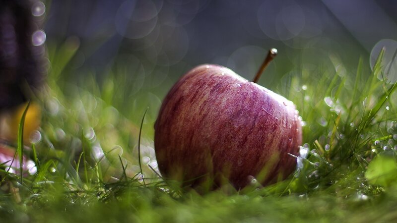 Red Apple on Grass — Green