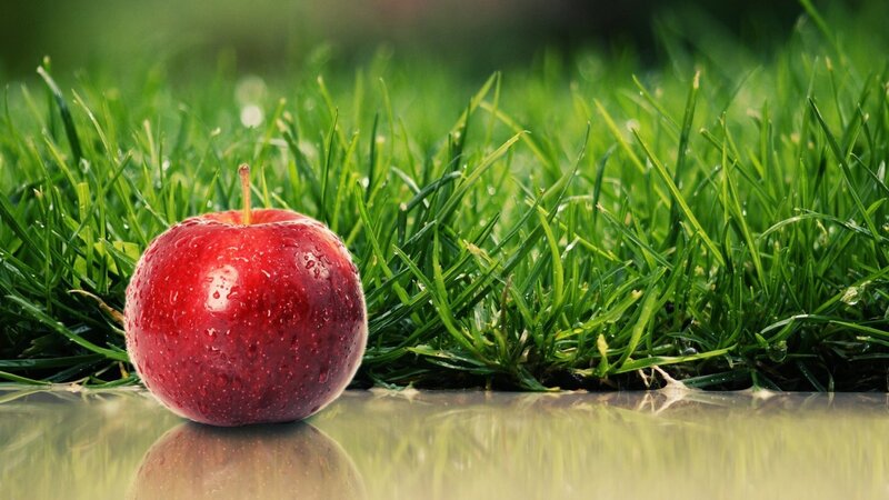 Red Apple on Grass — Serene, Morning, Photograph