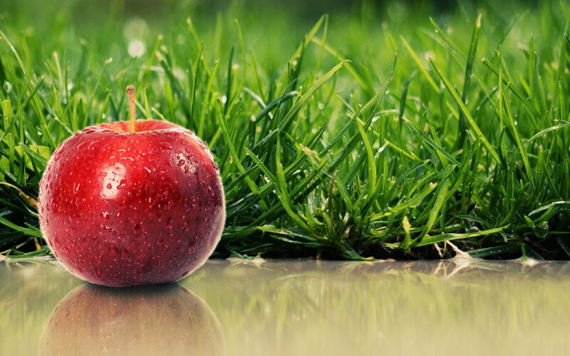 Red Apple on Grass — Serene, Morning
