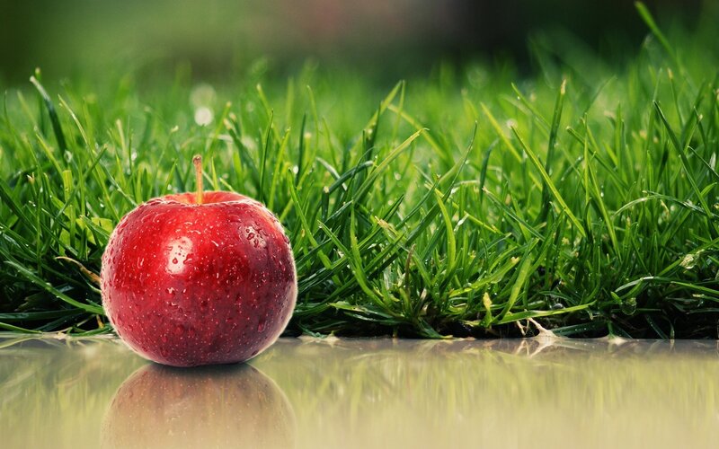Red Apple on Grass — Serene