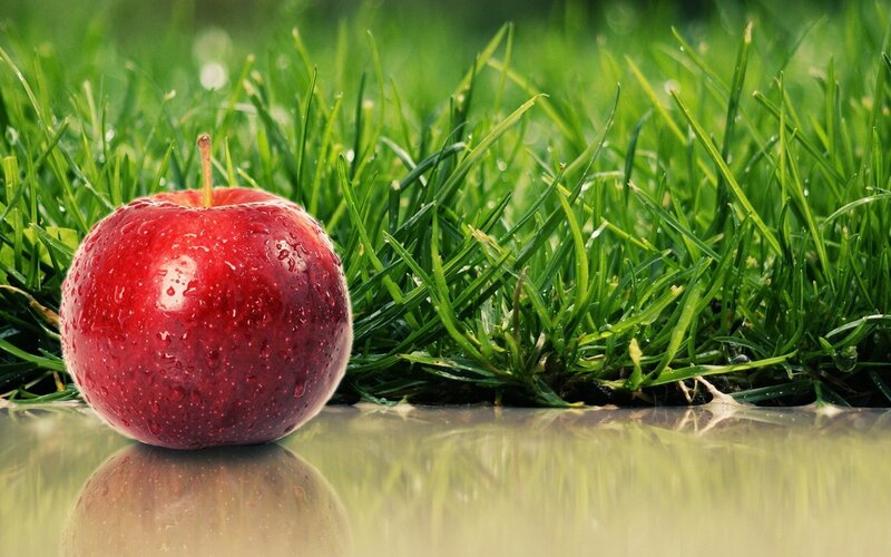 Red apple on grass