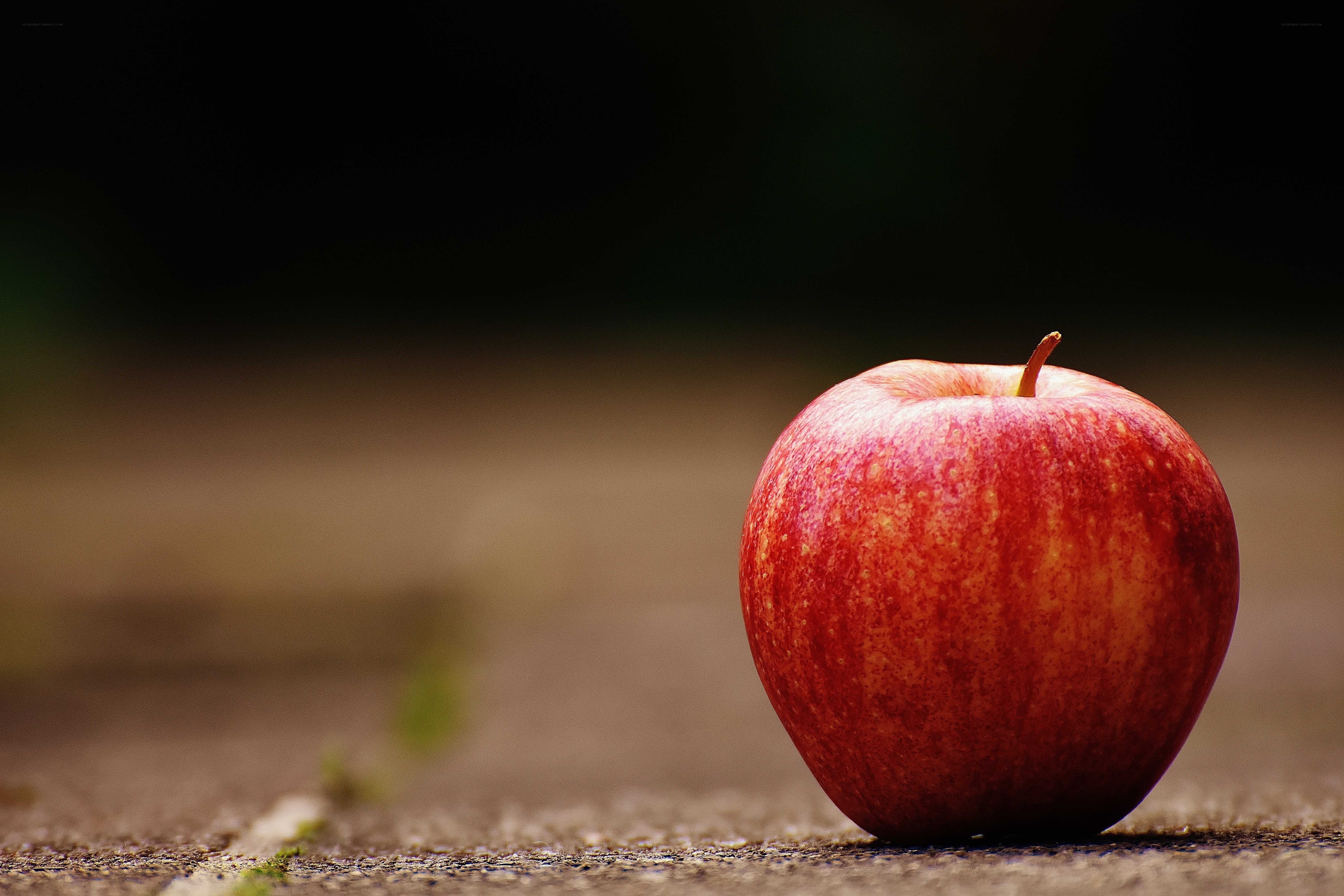 Red apple on ground
