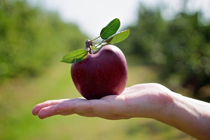 Red Apple on Hand