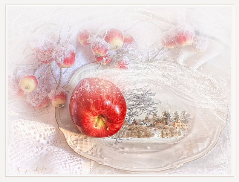 Red Apple on Plate