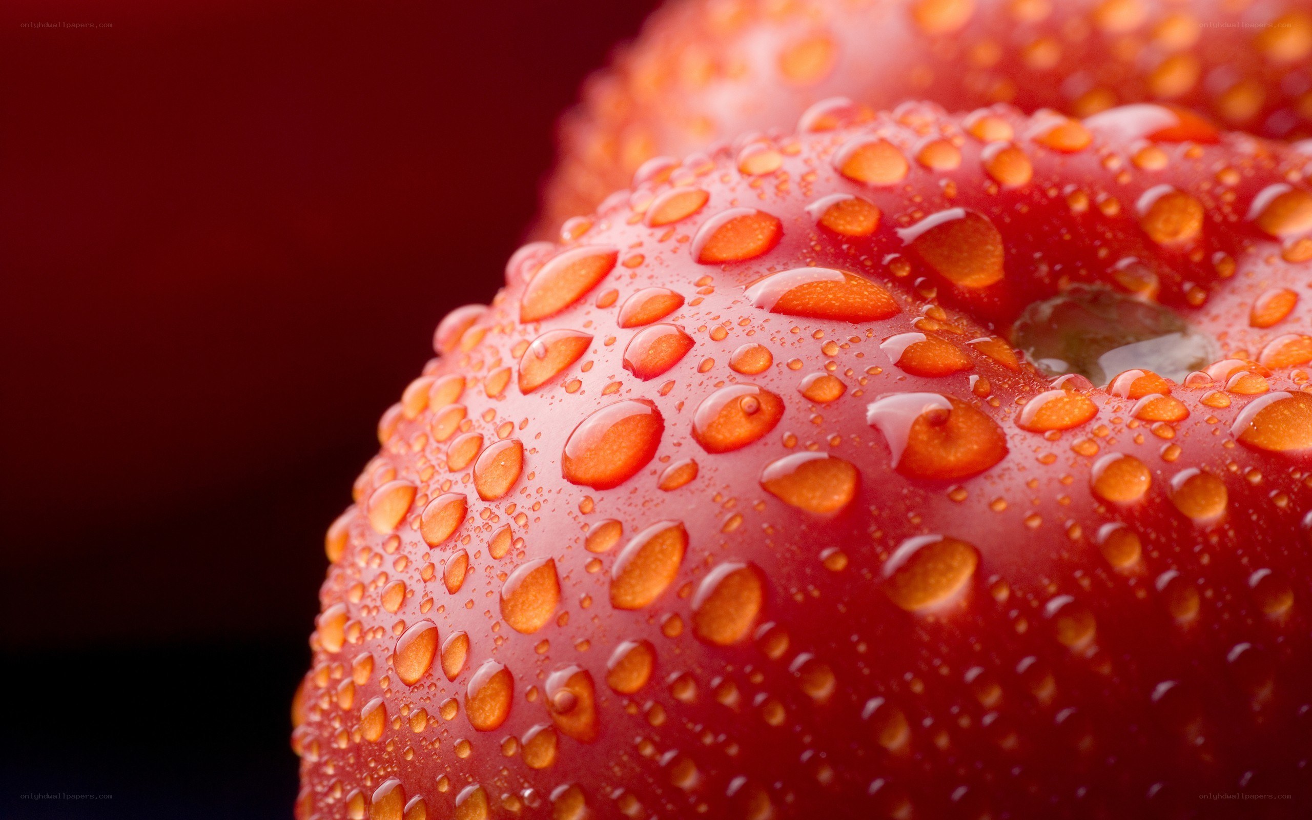 Red apple with water droplets