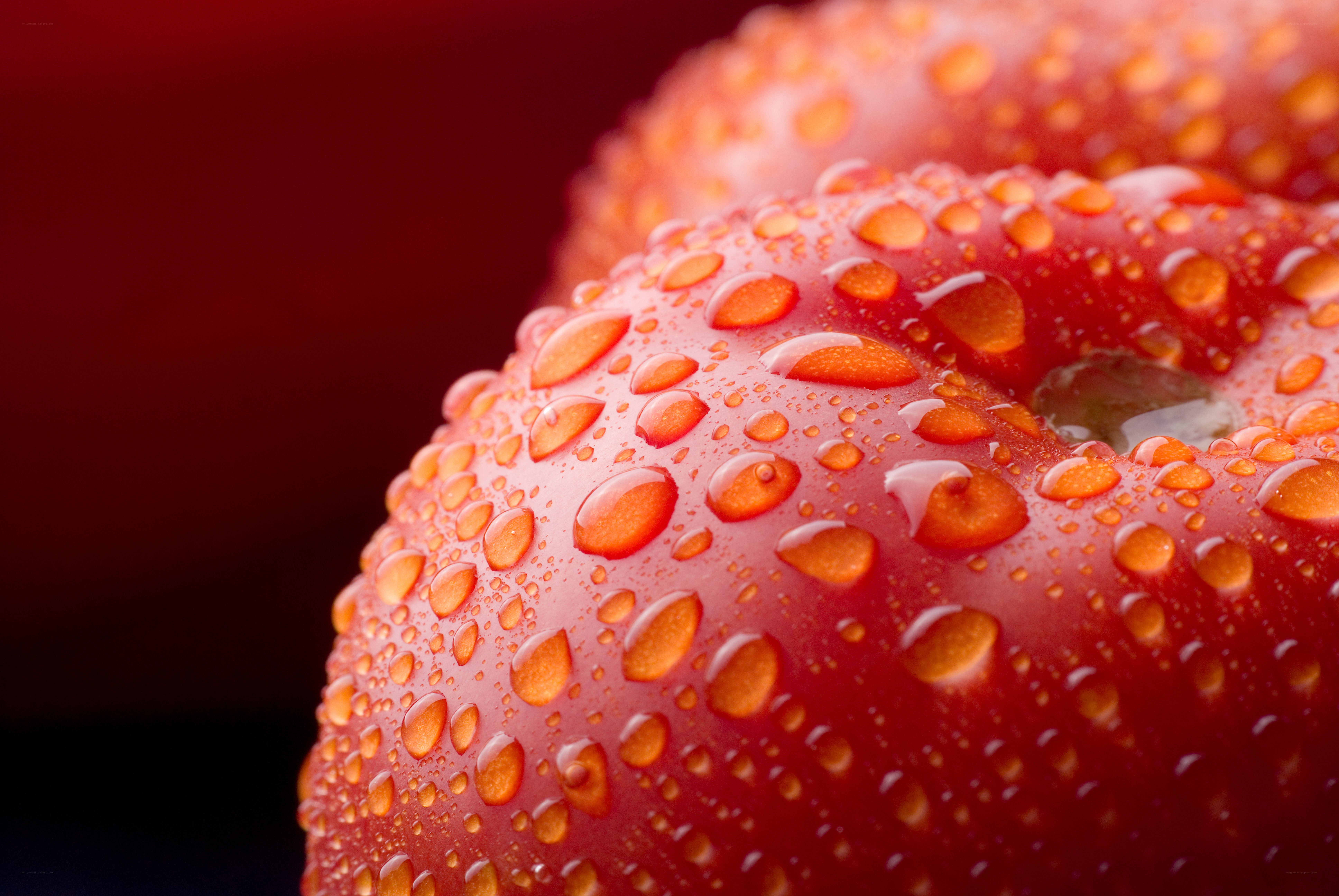 Red apple with water droplets