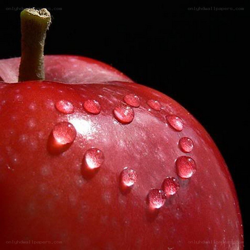 Red apple with water droplets