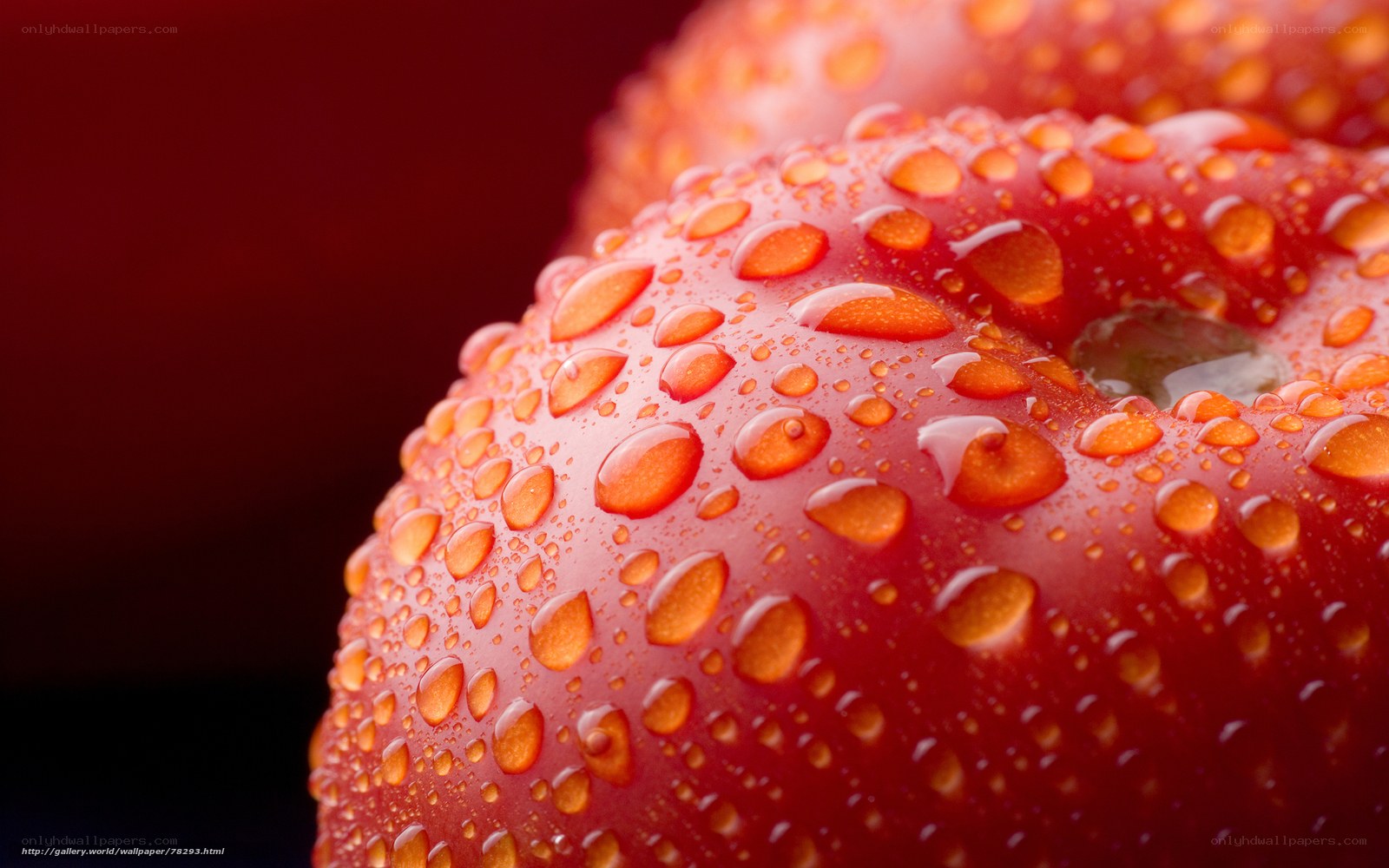 Red apple with water droplets