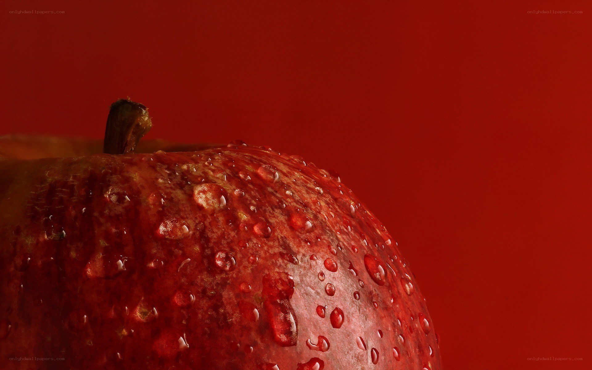 red apple with water droplets