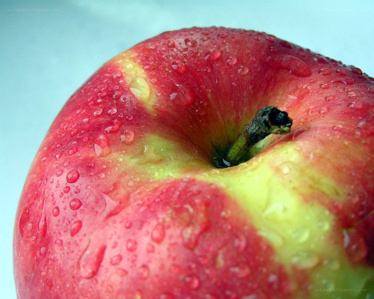 red apple with water droplets