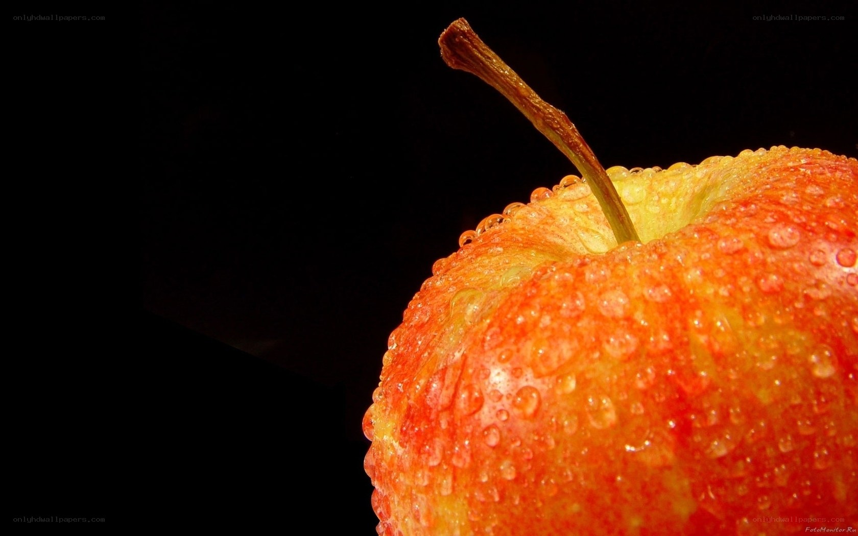 Red apple with water droplets