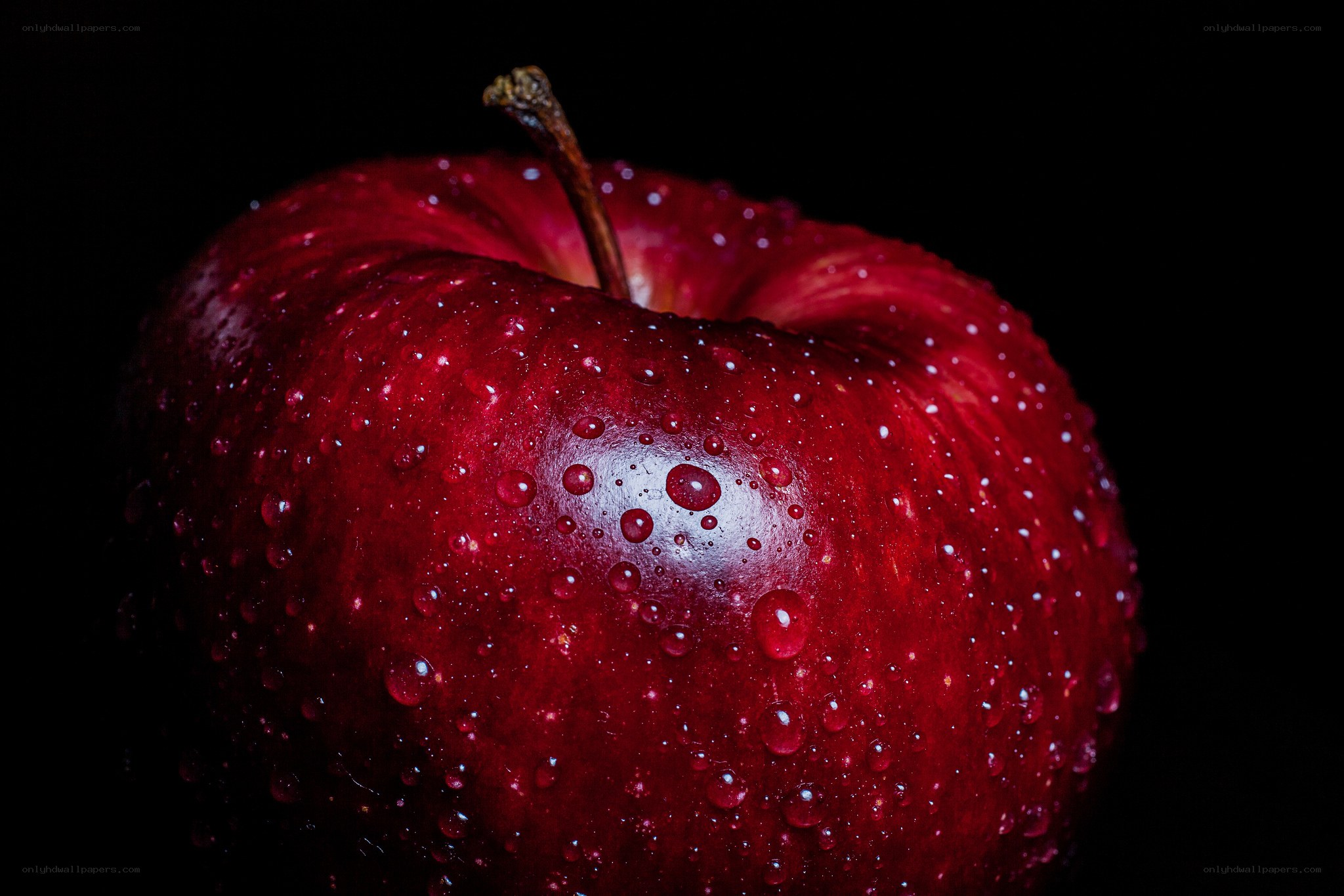 Red apple with water droplets