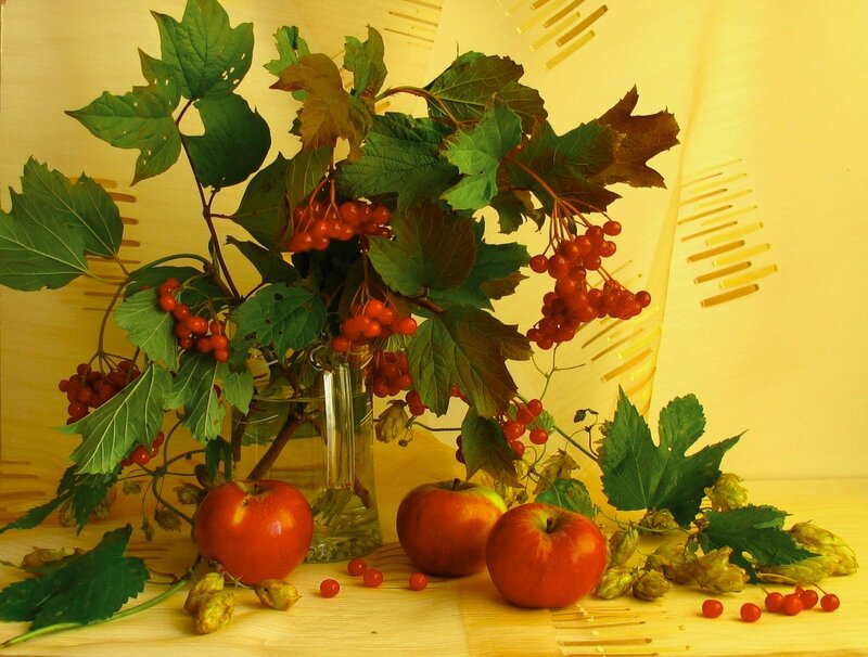 Red Apples and Berries — Calm