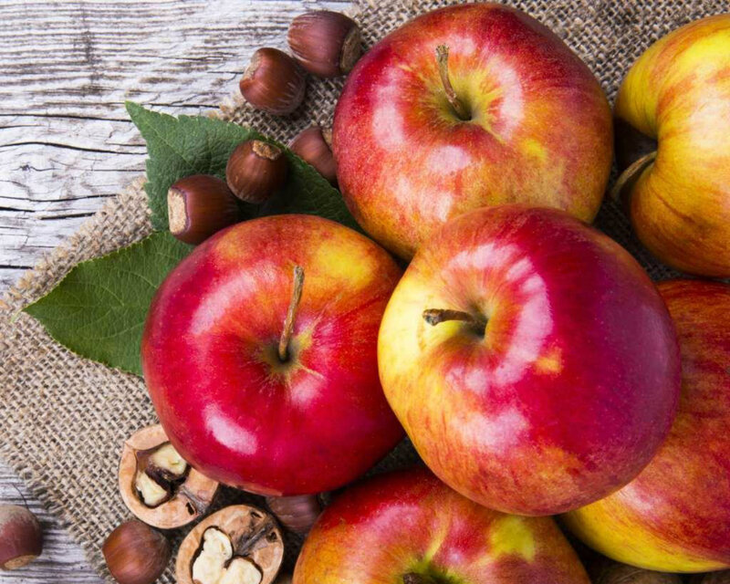 Red Apples and Hazelnuts
