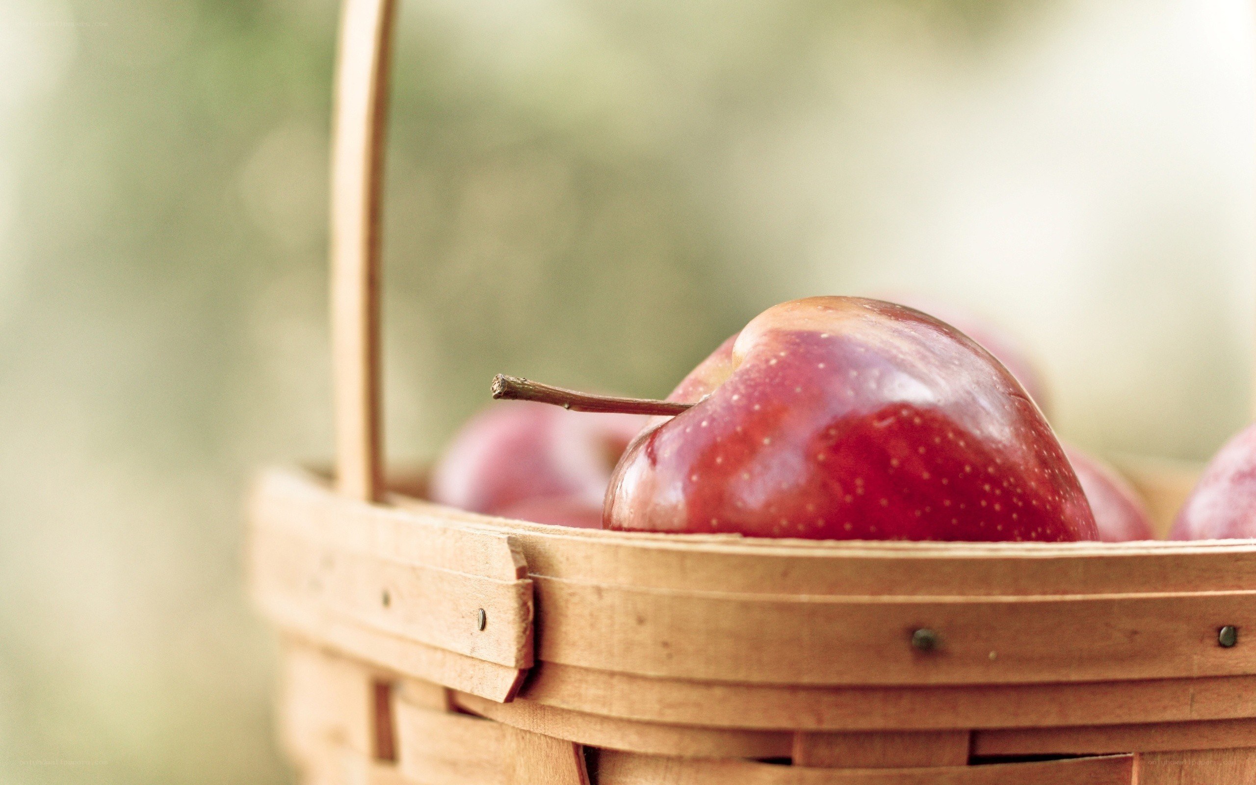 Red apples in a basket