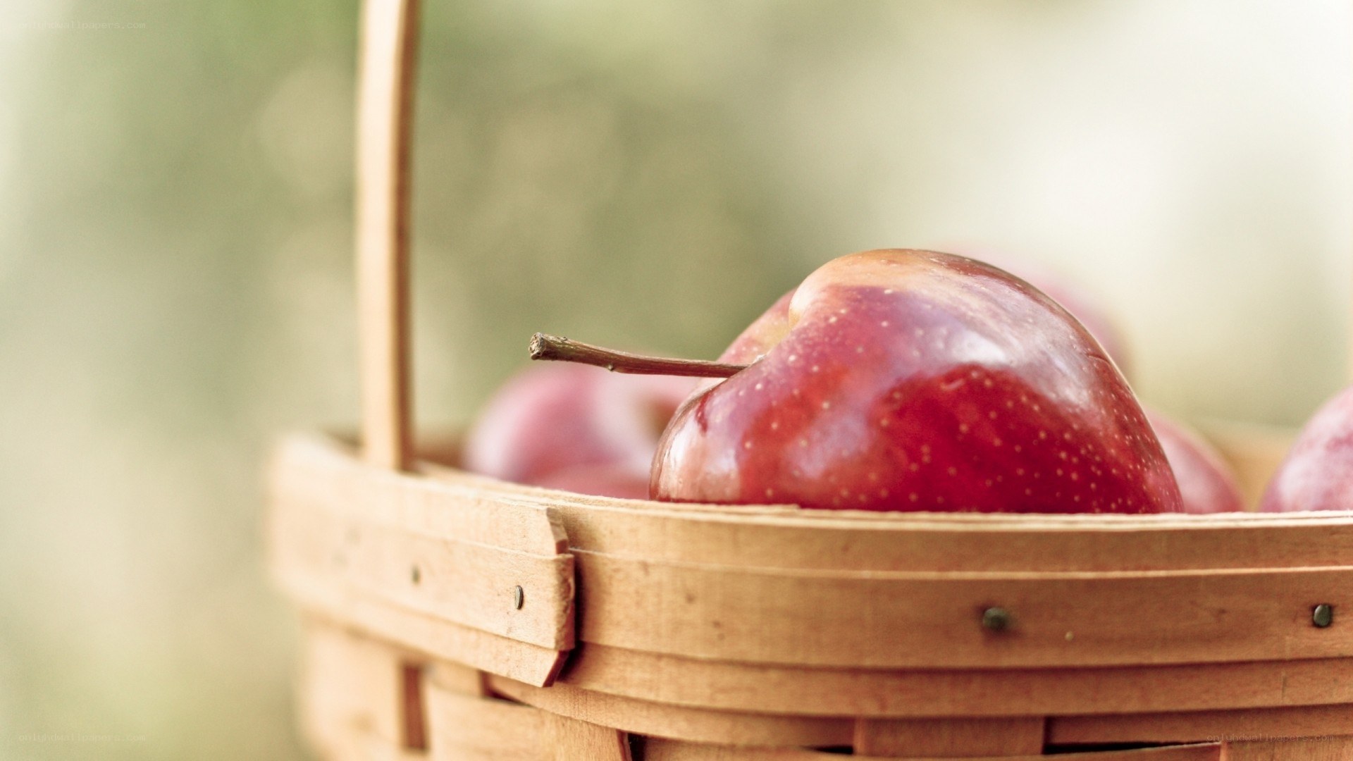 Red apples in a basket