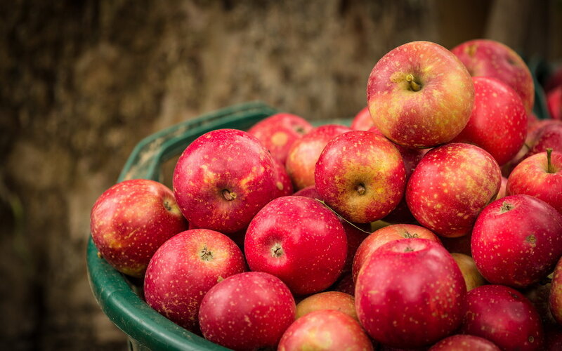 Red Apples in Basket — Natural, Photograph, Tree Trunk