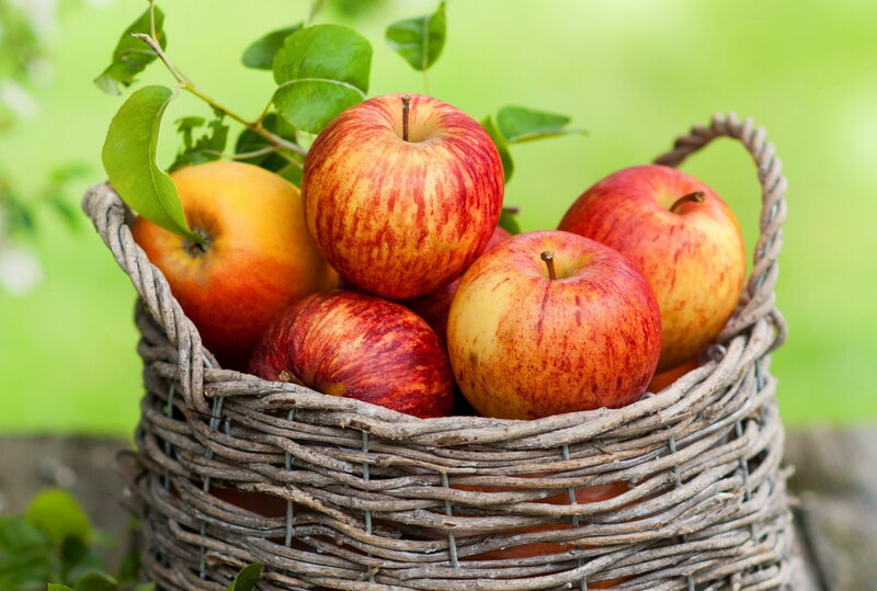 Red Apples in Basket — Natural, Summer, Photograph
