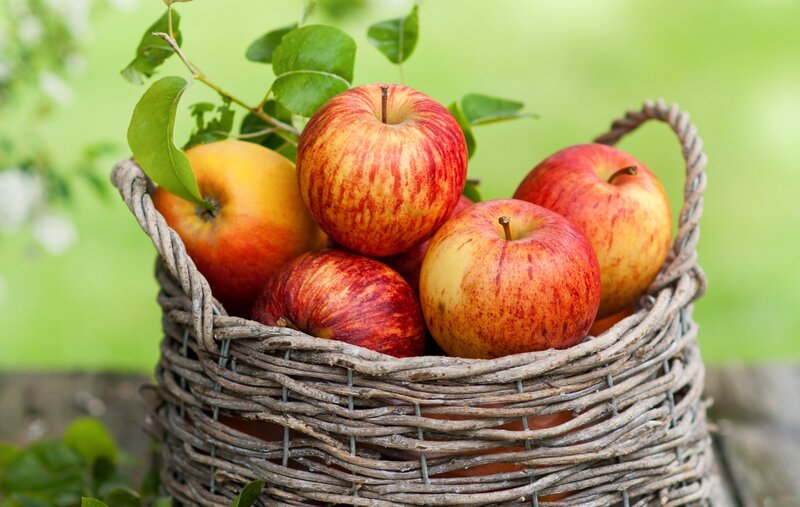 Red Apples in Basket — Natural, Summer